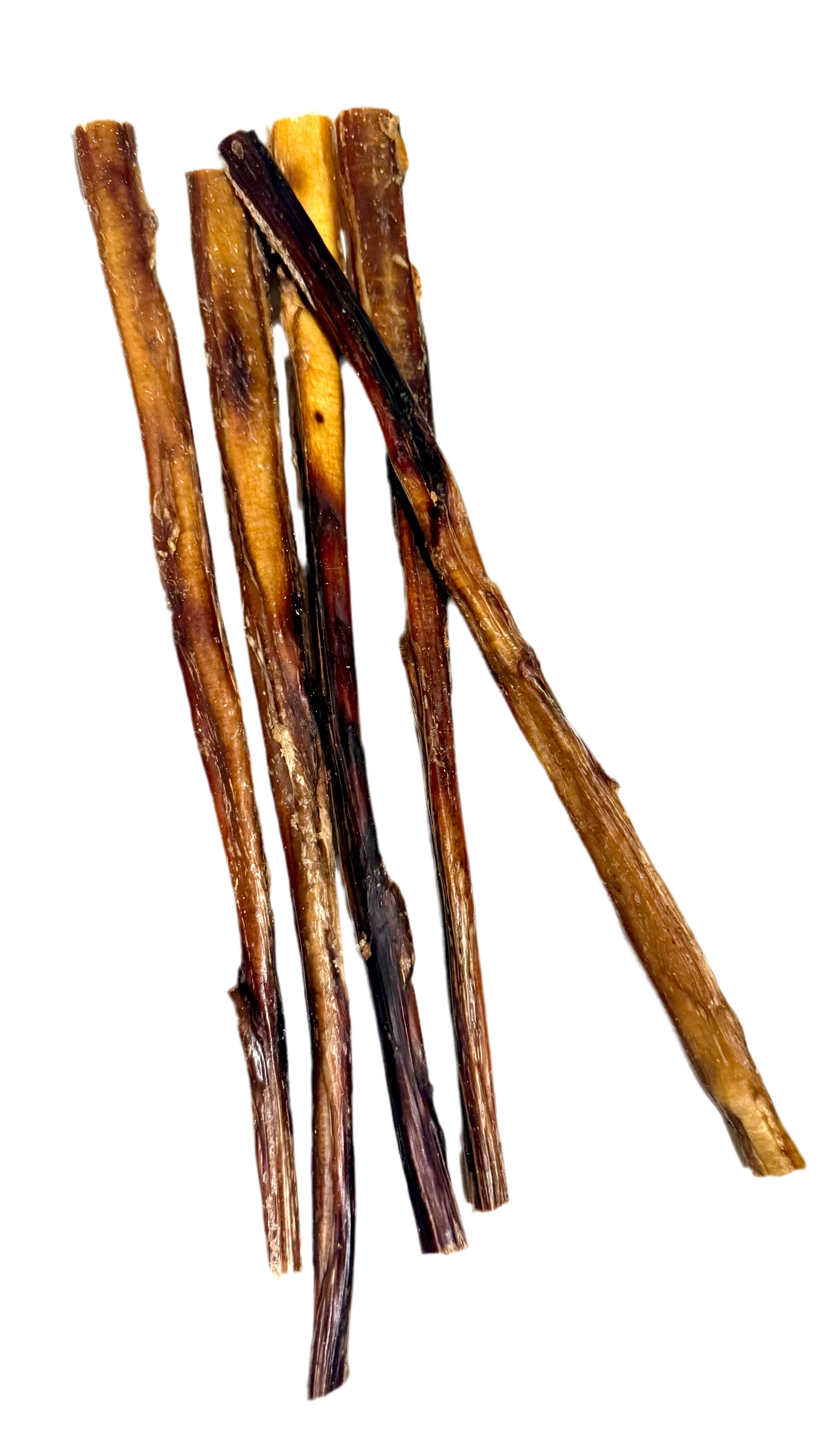 Ochsenziemer 40cm