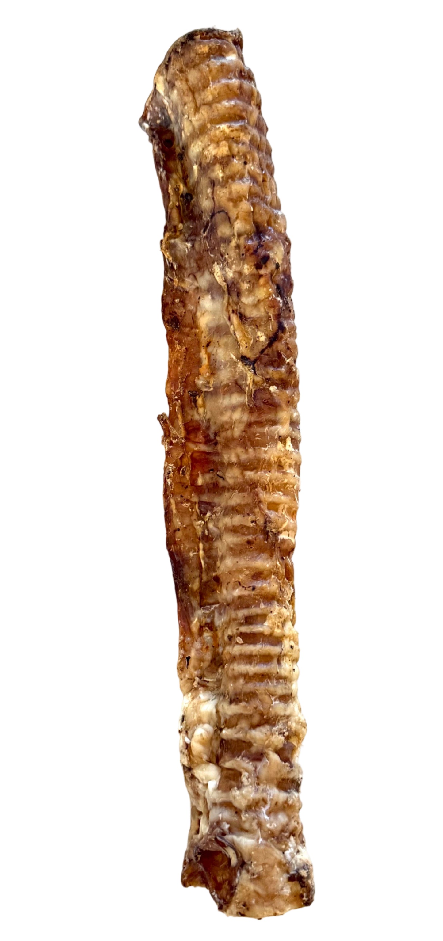 Rinderluftröhre 40cm