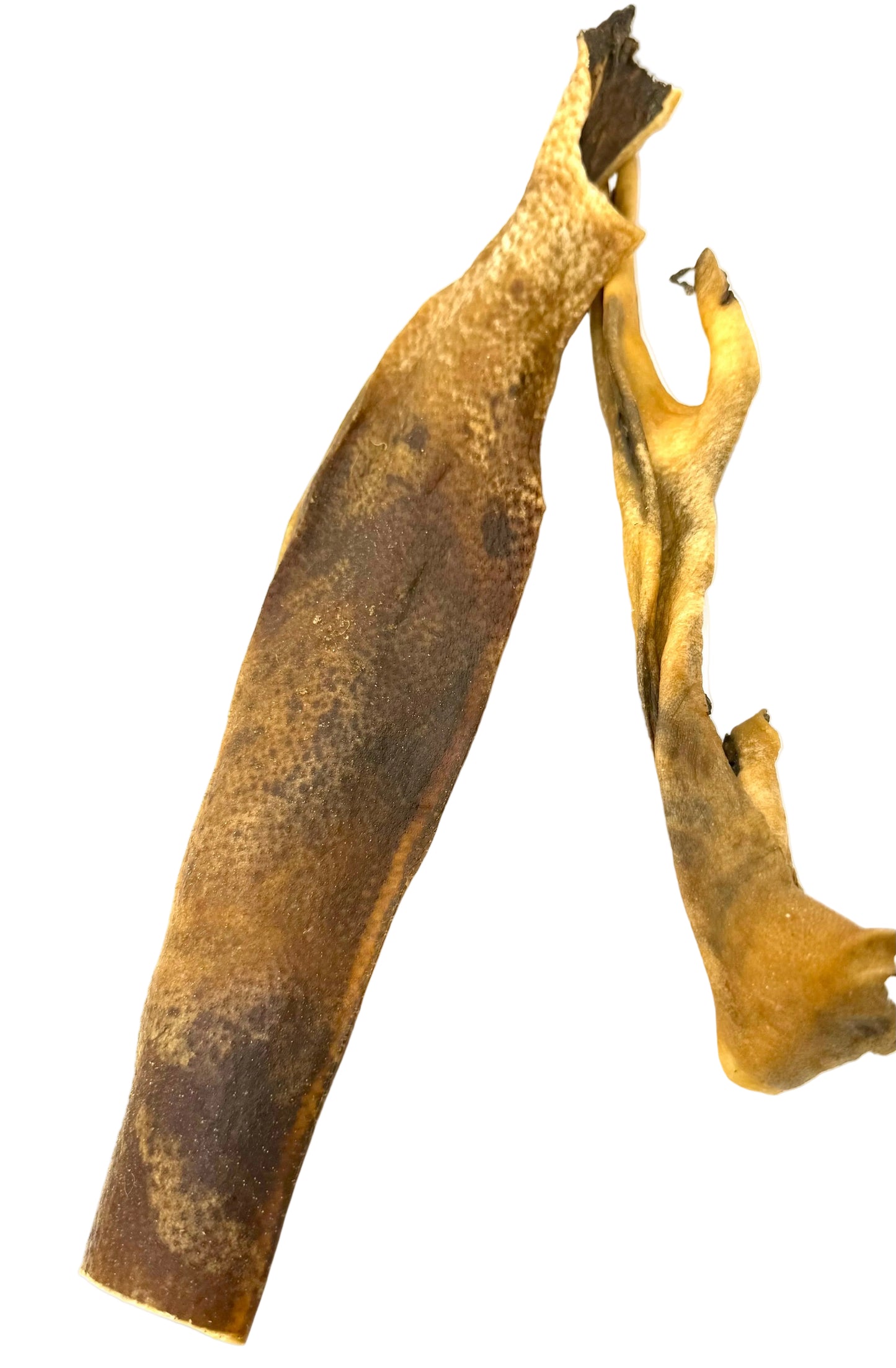 Rückenhaut vom Wildschwein (ca. 30-40cm)