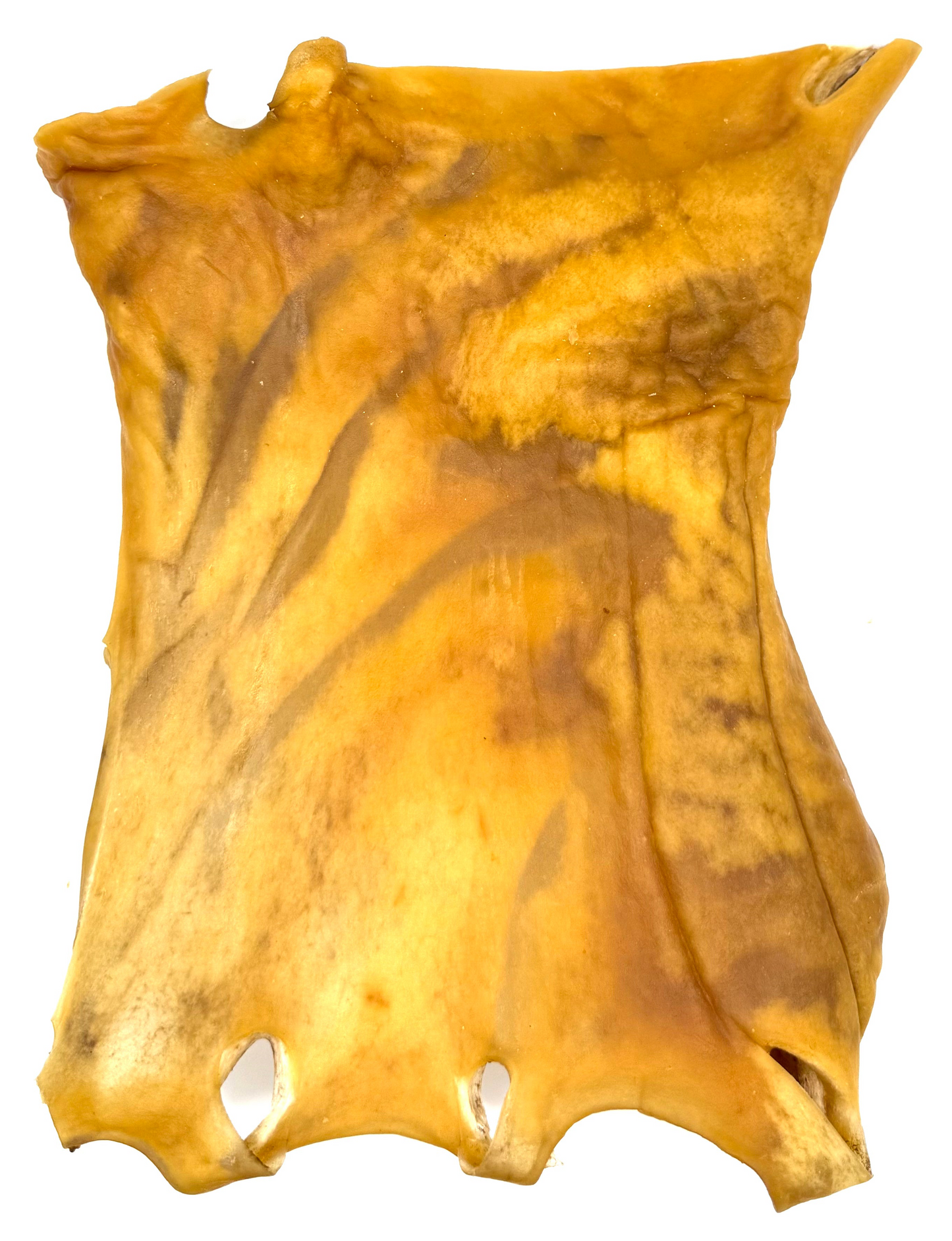 Rinderkopfhautplatte