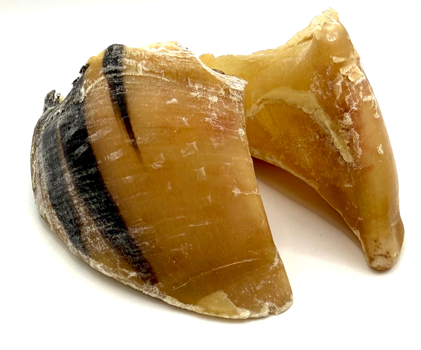 Kalbshufe