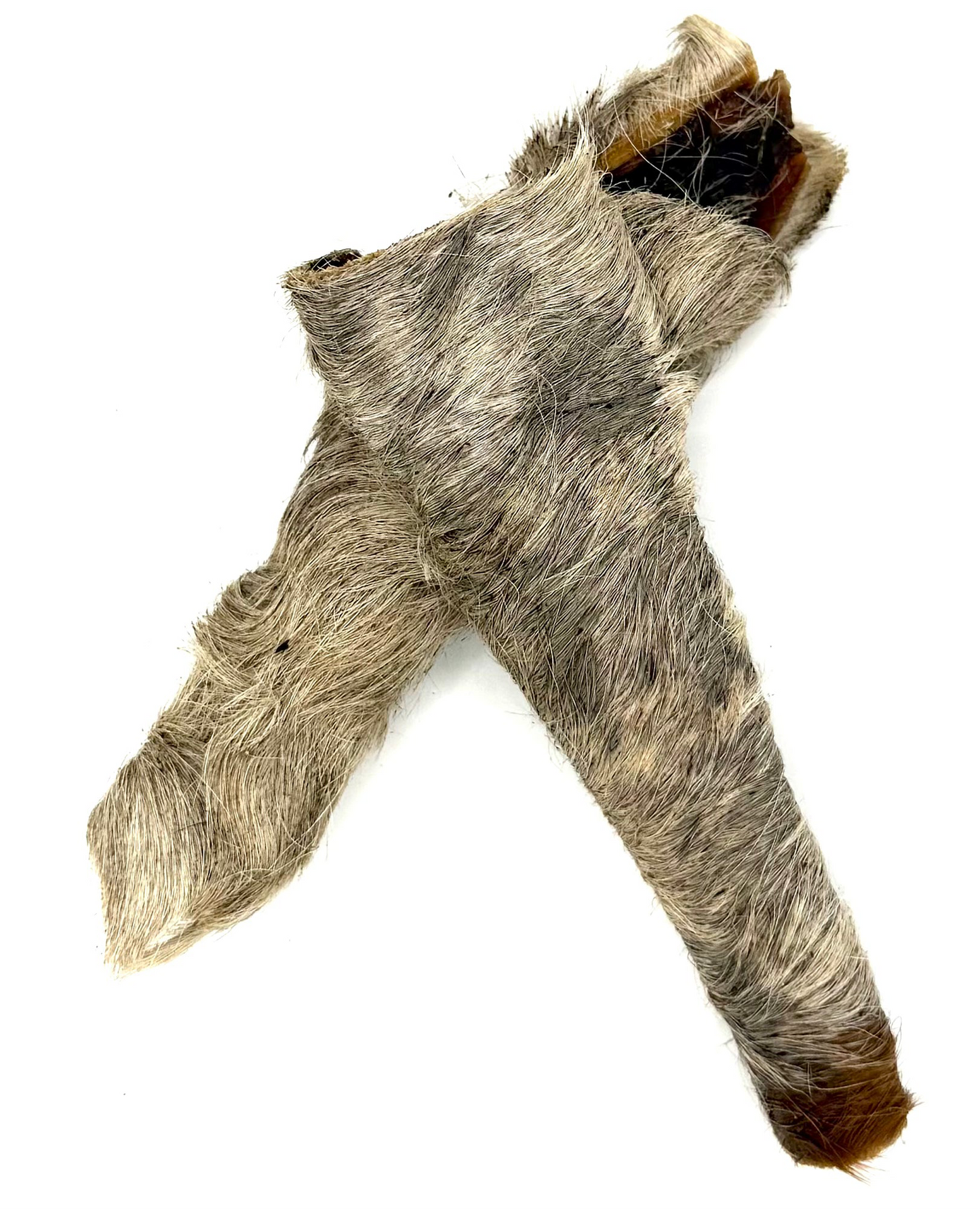 Rinderkopfhaut mit Fell 15cm