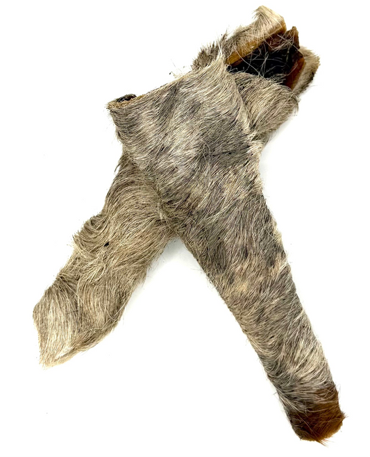 Rinderkopfhaut mit Fell 15cm