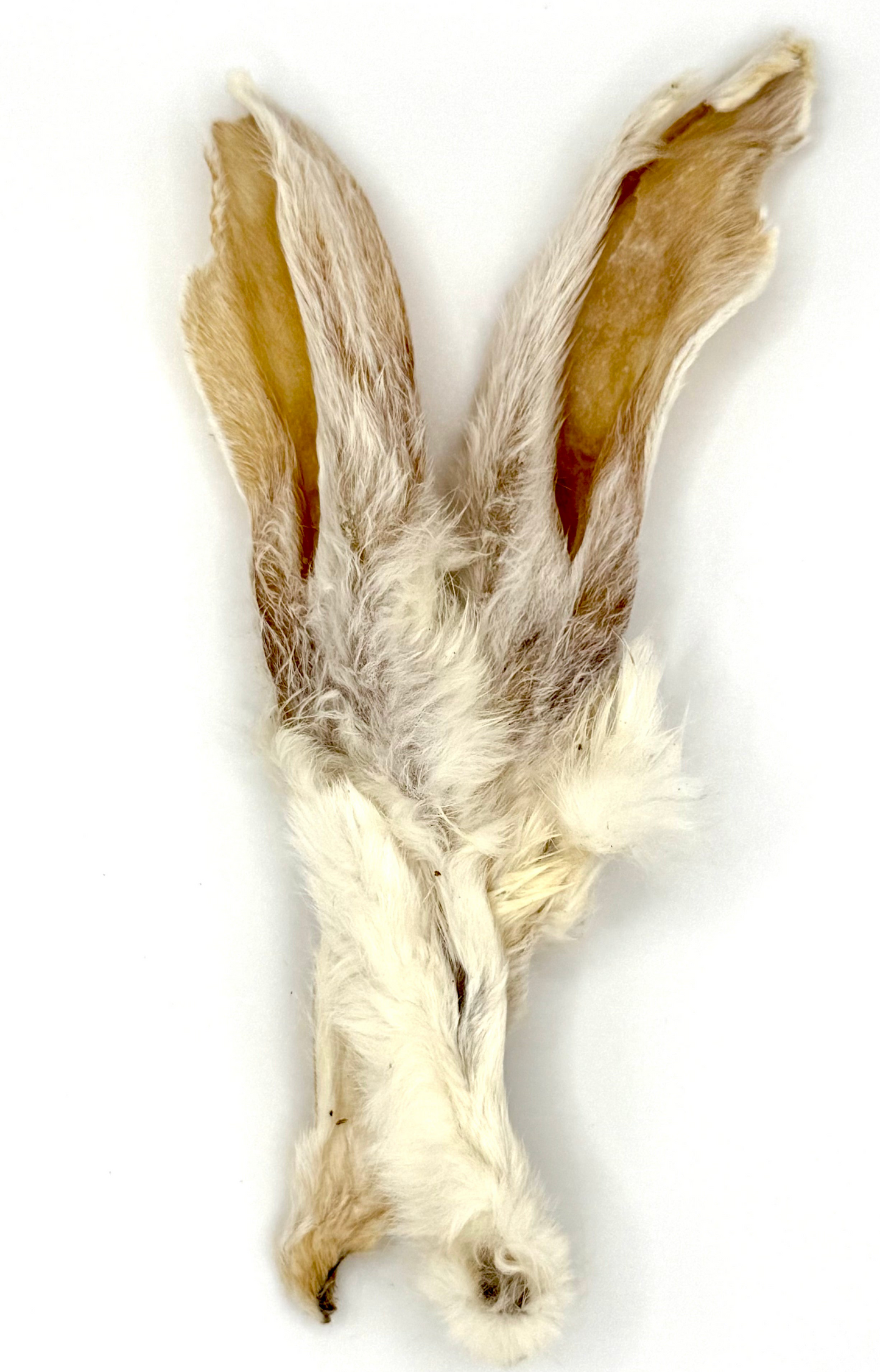 Kaninchenohren mit Fell