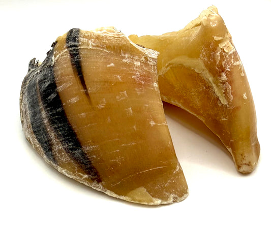 Kalbshufe