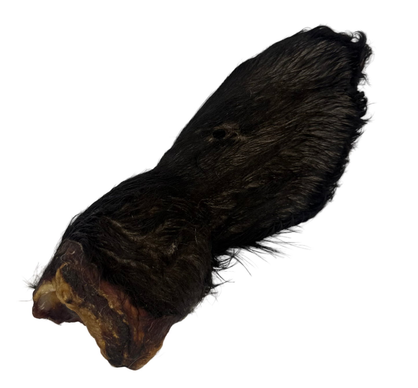 Rinderohr XXL mit Muschel und Fell